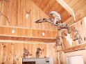 SAM_1539 SAM_1539